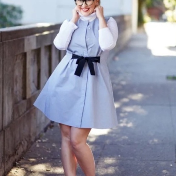 & OTHER STORIES A-Line Cotton Blue Chambray Bow Front Dress Size 2 - Picture 4 of 14